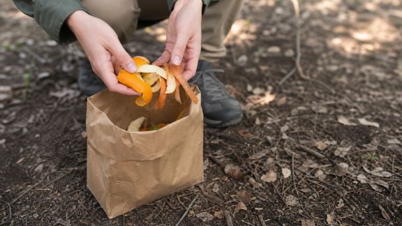 Bien gérer les déchets organiques pour un séjour en pleine nature propre