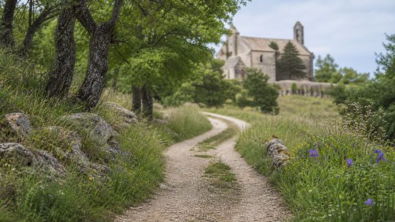 Séjour nature et patrimoine : des idées d’étapes pour les curieux