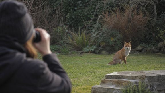 Gérer la cohabitation avec la faune locale : précautions indispensables