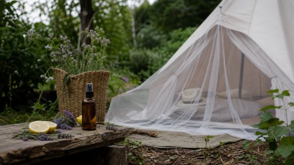 Se protéger des insectes : astuces naturelles et efficaces pour le campement